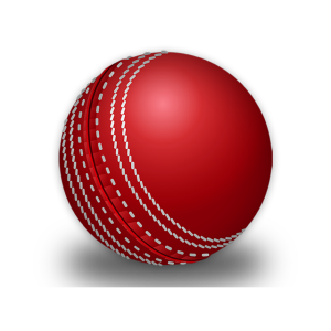 howzattt cricket ball